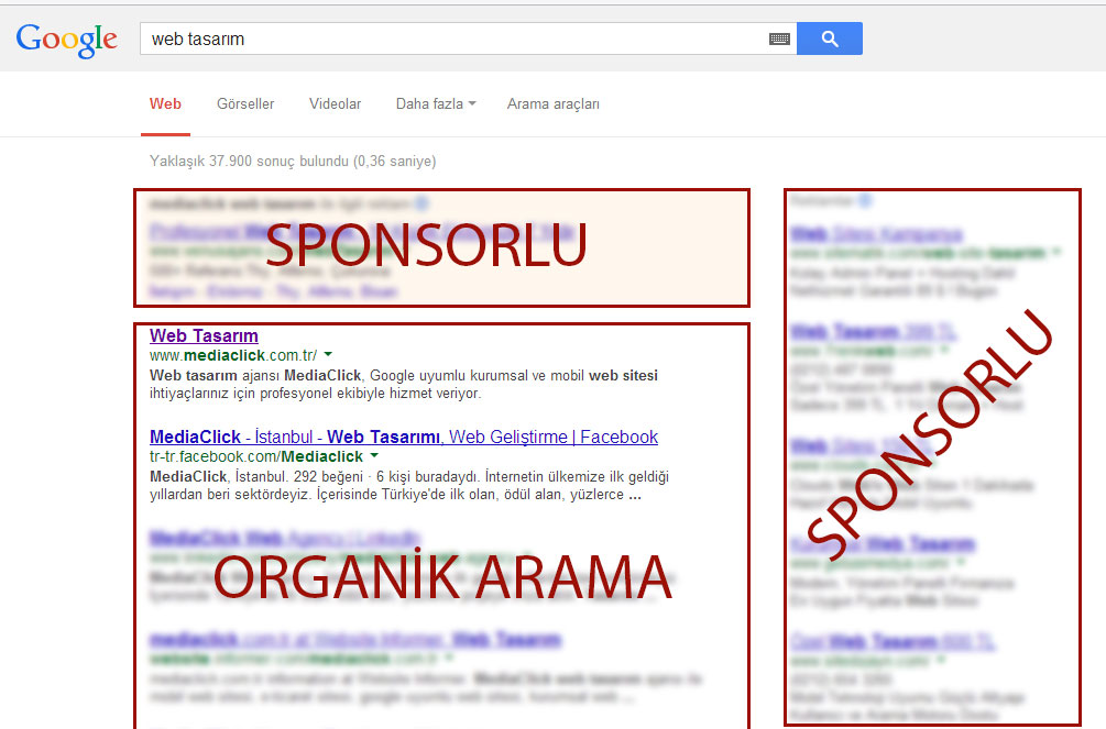 organik-arama